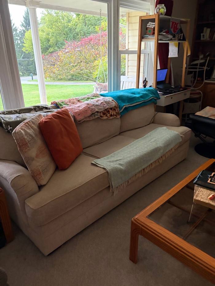 Clean living room with sofa and glass coffee table after a standard clean
